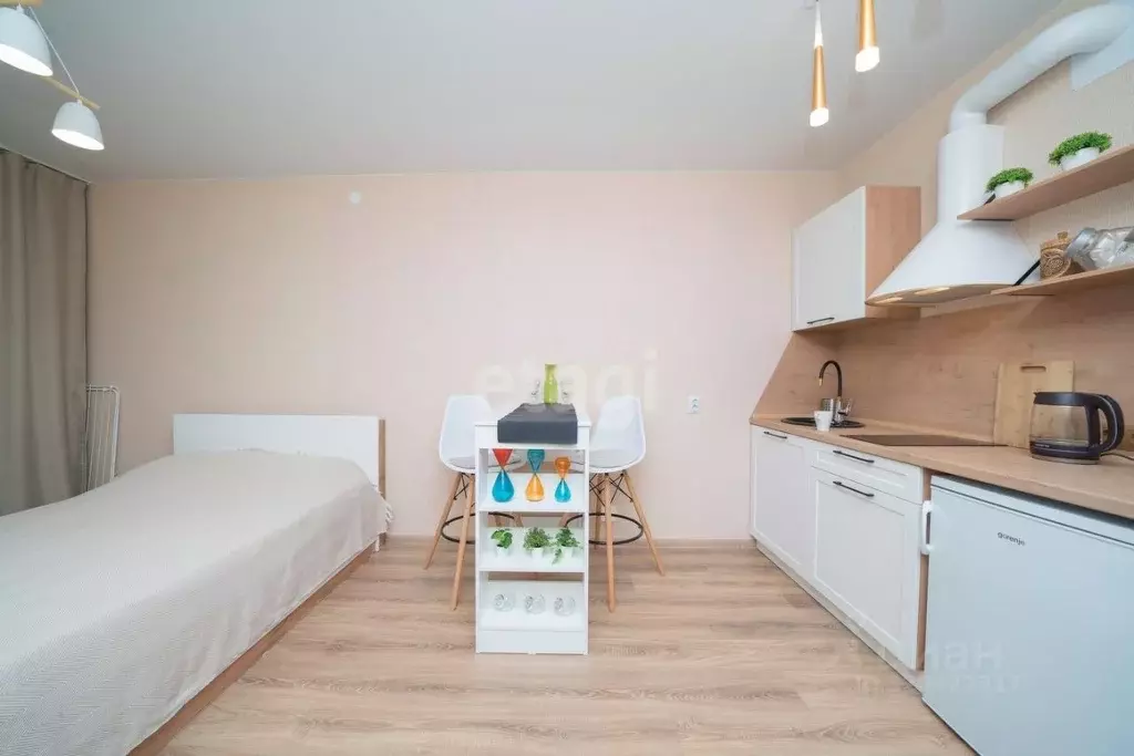 Студия Пермский край, Пермь Монастырская ул., 181 (28.0 м) - Фото 2