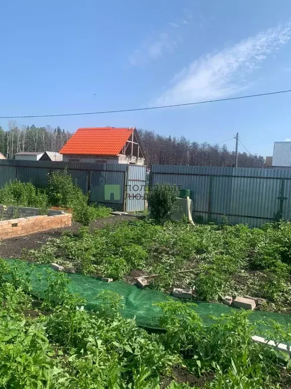 Дом в Курганская область, Курган Малиновка СНТ, 120 (18 м) - Фото 1