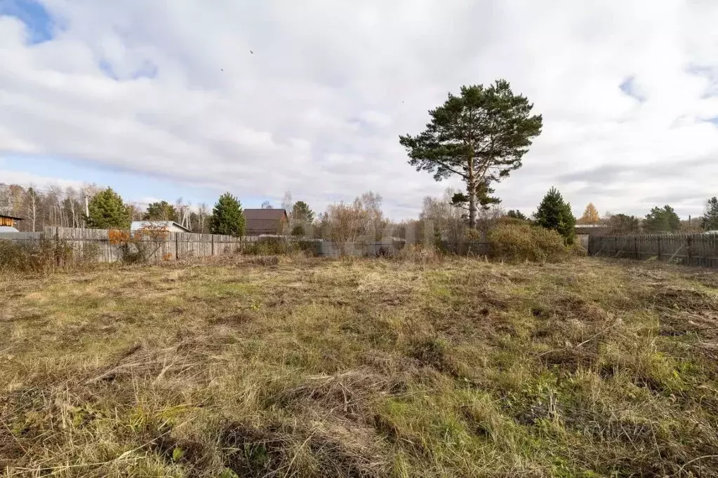 Участок в Тюменская область, Тюменский муниципальный округ, Лесник-2 ... - Фото 1