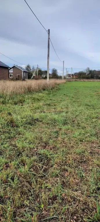 Участок в Ярославская область, Ярославский муниципальный округ, д. ... - Фото 2