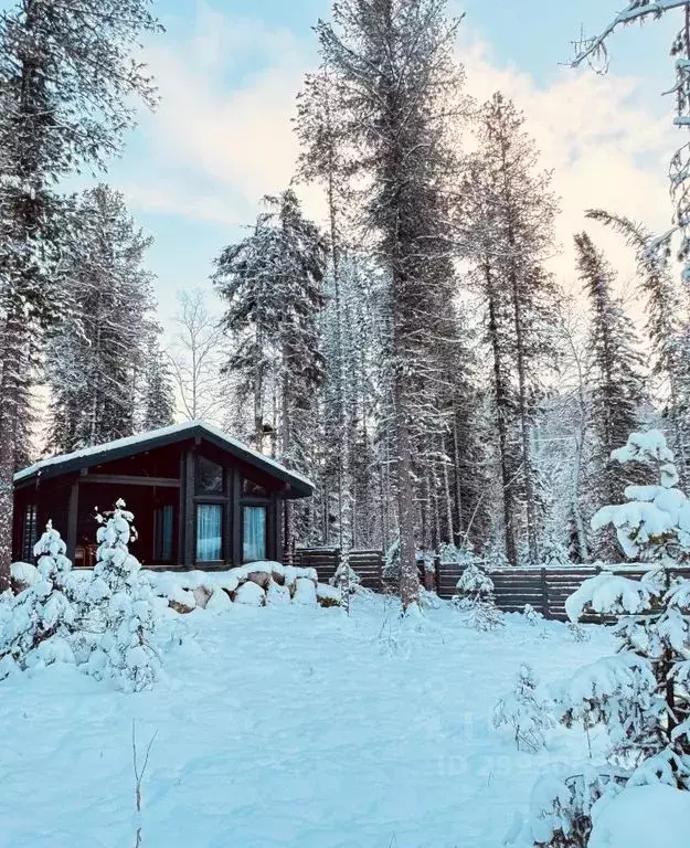 Дом в Алтай, Турочакский район, с. Артыбаш пер. Еловый, 11 (40 м) - Фото 0