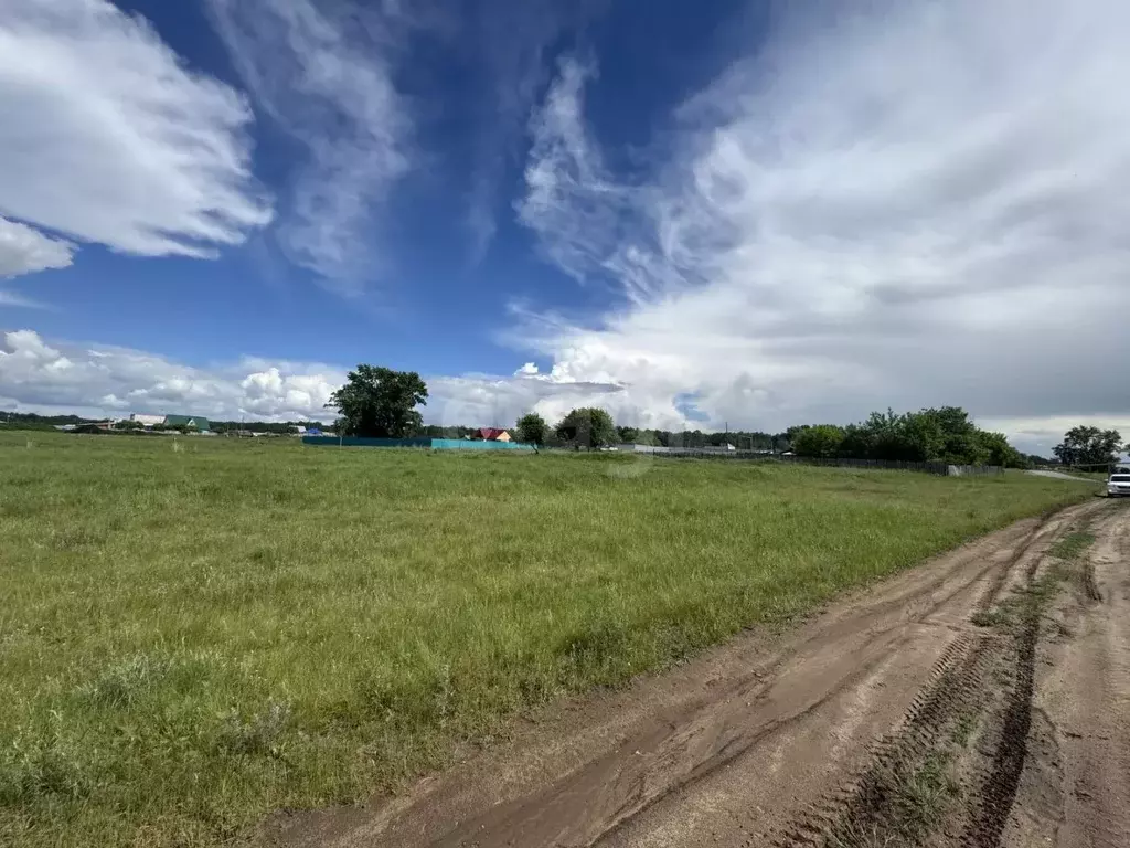 Участок в Челябинская область, Пласт ул. Чапаева (15.0 сот.) - Фото 1