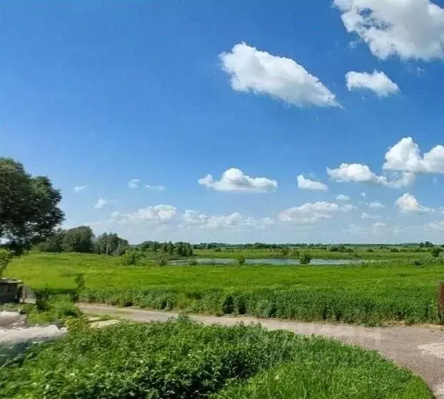 Участок в Рязанская область, Спасский муниципальный округ, д. ... - Фото 1