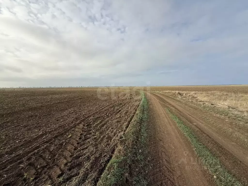 Участок в Крым, Раздольненский район, Славянское с/пос, с. Аврора ул. ... - Фото 1