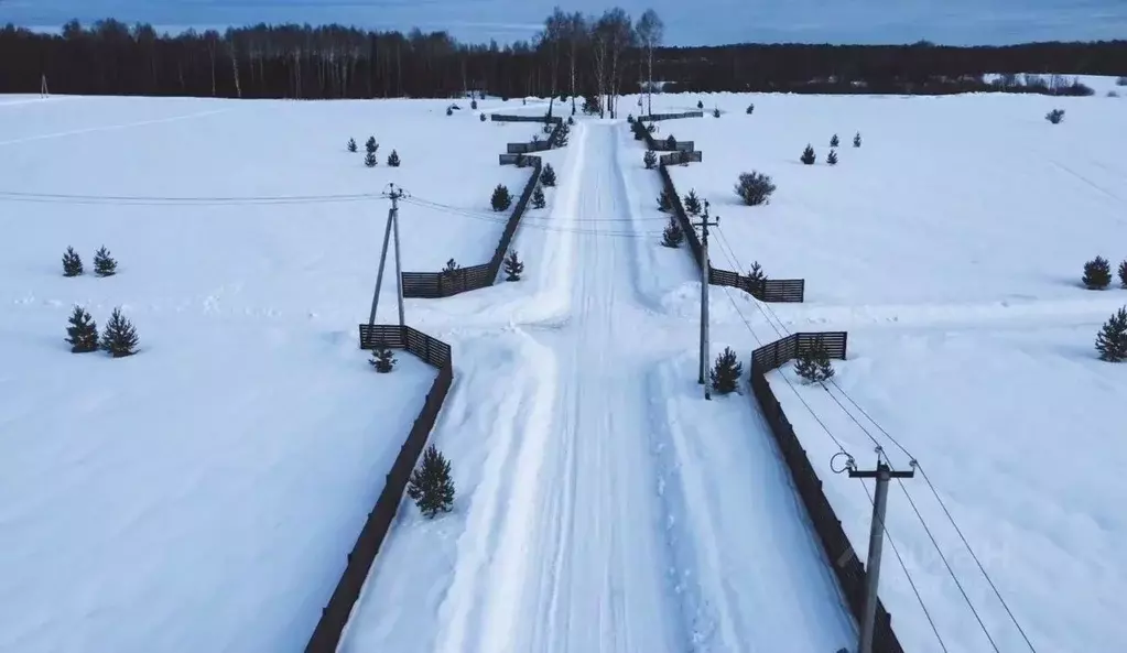 Участок в Московская область, Истра городской округ, д. Большое ... - Фото 0