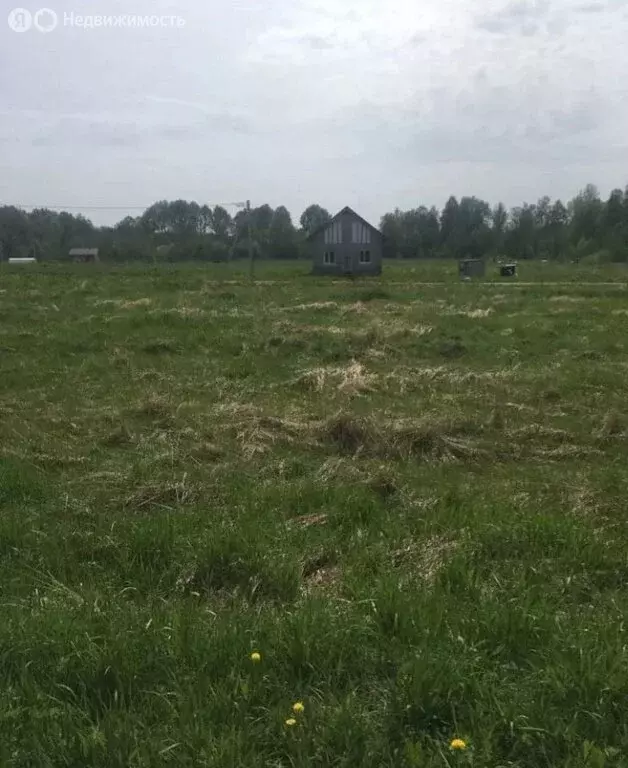 Участок в Ермолинское сельское поселение, деревня Нащи, Новгородский ... - Фото 0