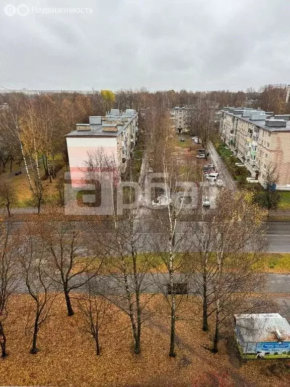 1-комнатная квартира: Кострома, улица Северной Правды, 29 (33.4 м) - Фото 2