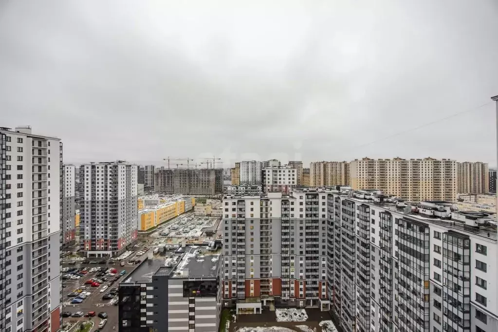 1-к кв. Санкт-Петербург ул. Дыбенко, 7к2 (34.7 м) - Фото 1