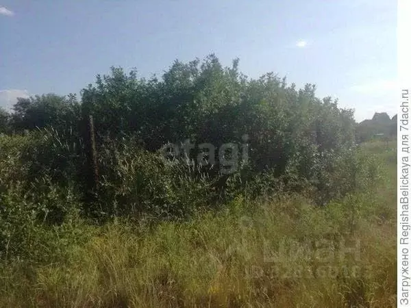 Участок в Калужская область, Бабынинский муниципальный округ, ... - Фото 1