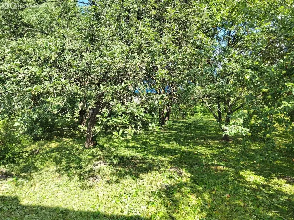 Дом в Опочка, Пролетарская улица, 30 (84.9 м) - Фото 1