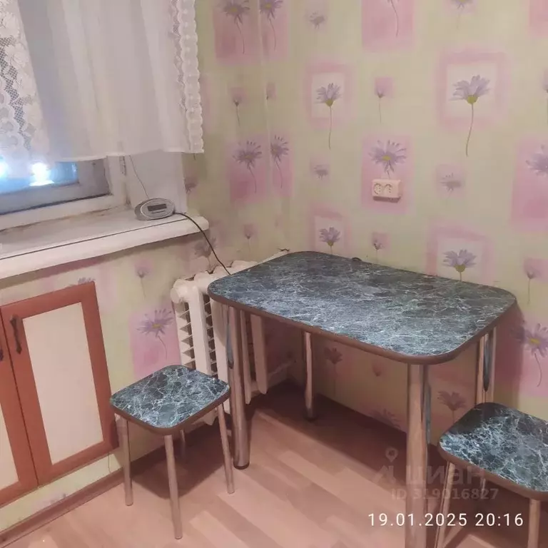 2-к кв. Новосибирская область, Новосибирск ул. Гоголя, 202 (42.0 м) - Фото 1