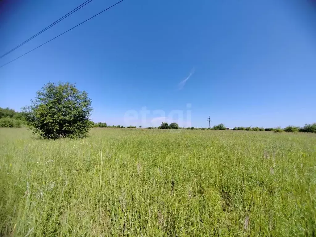 Участок в Московская область, Коломна городской округ, д. Андреевка  ... - Фото 0