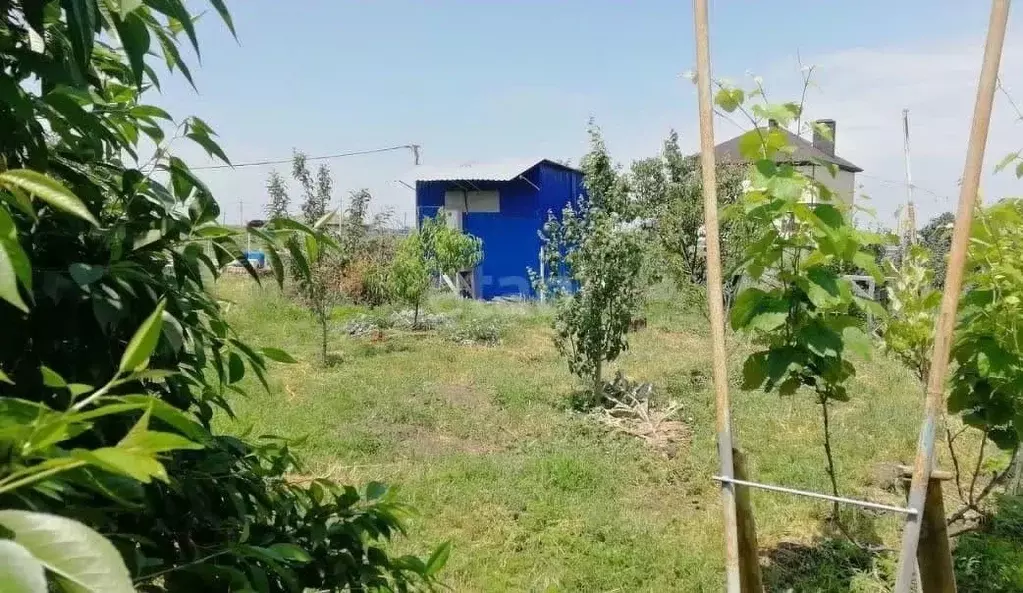 Участок в Ростовская область, Азовский район, Новоалександровка хут.  ... - Фото 0