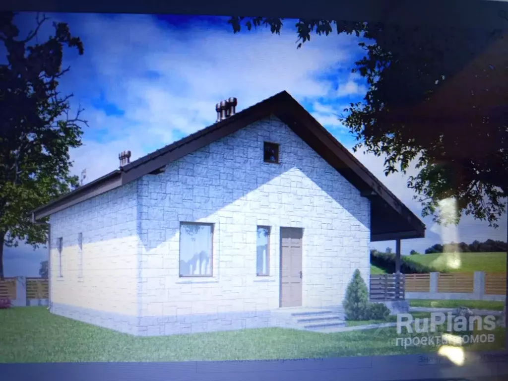 Дом в Омская область, Омский район, с. Надеждино  (80 м) - Фото 0