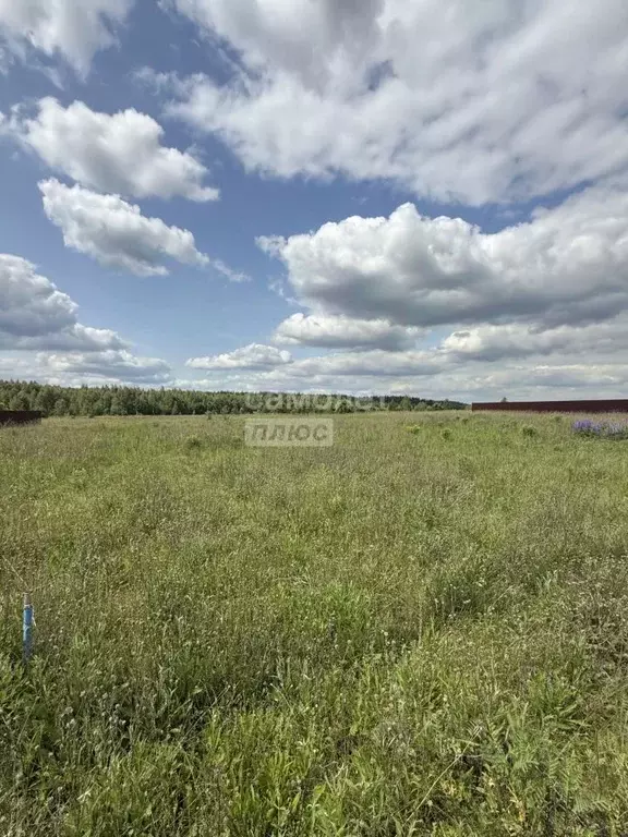 Участок в Московская область, Орехово-Зуевский городской округ, д. ... - Фото 1