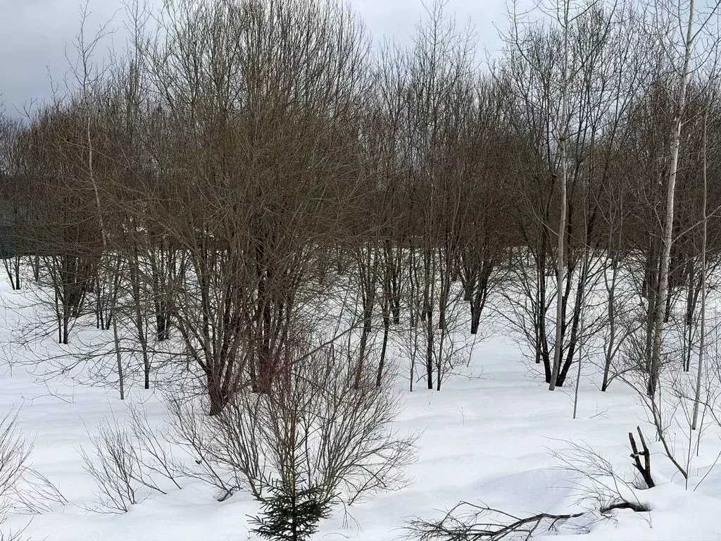 Участок в Московская область, Истра муниципальный округ, д. Корсаково  ... - Фото 1