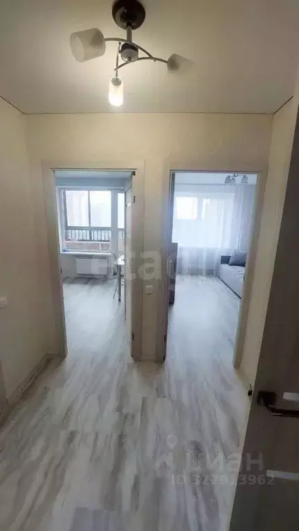 1-к кв. Воронежская область, Воронеж ул. Независимости, 78к1 (32.42 м) - Фото 2