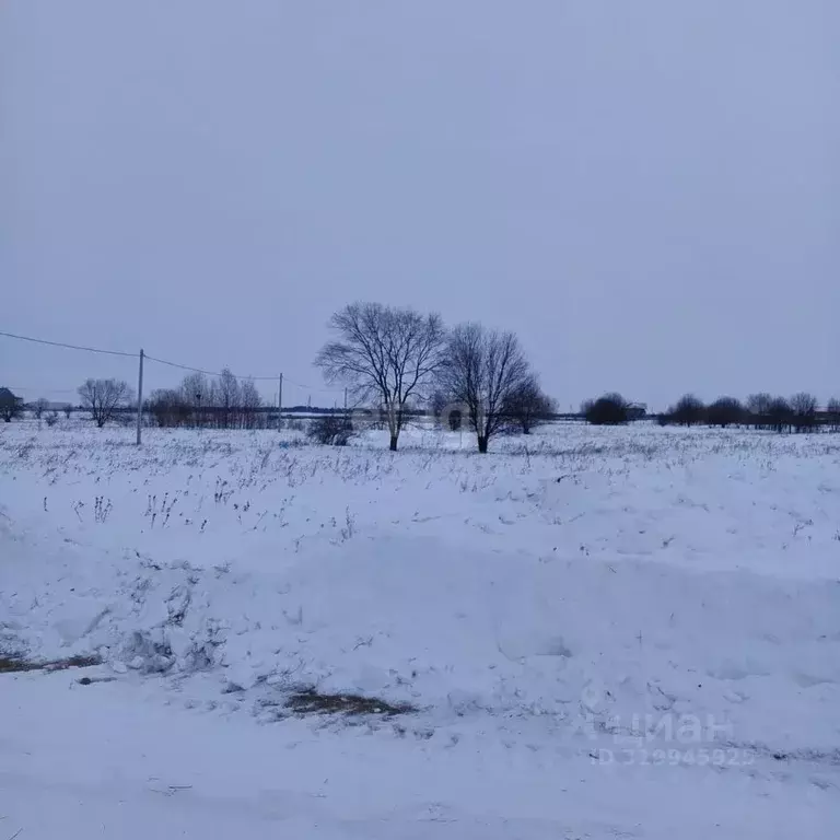Участок в Амурская область, Благовещенский район, с. Новопетровка  ... - Фото 1
