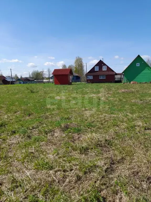 Участок в Вологодская область, Кадуйский муниципальный округ, д. ... - Фото 1