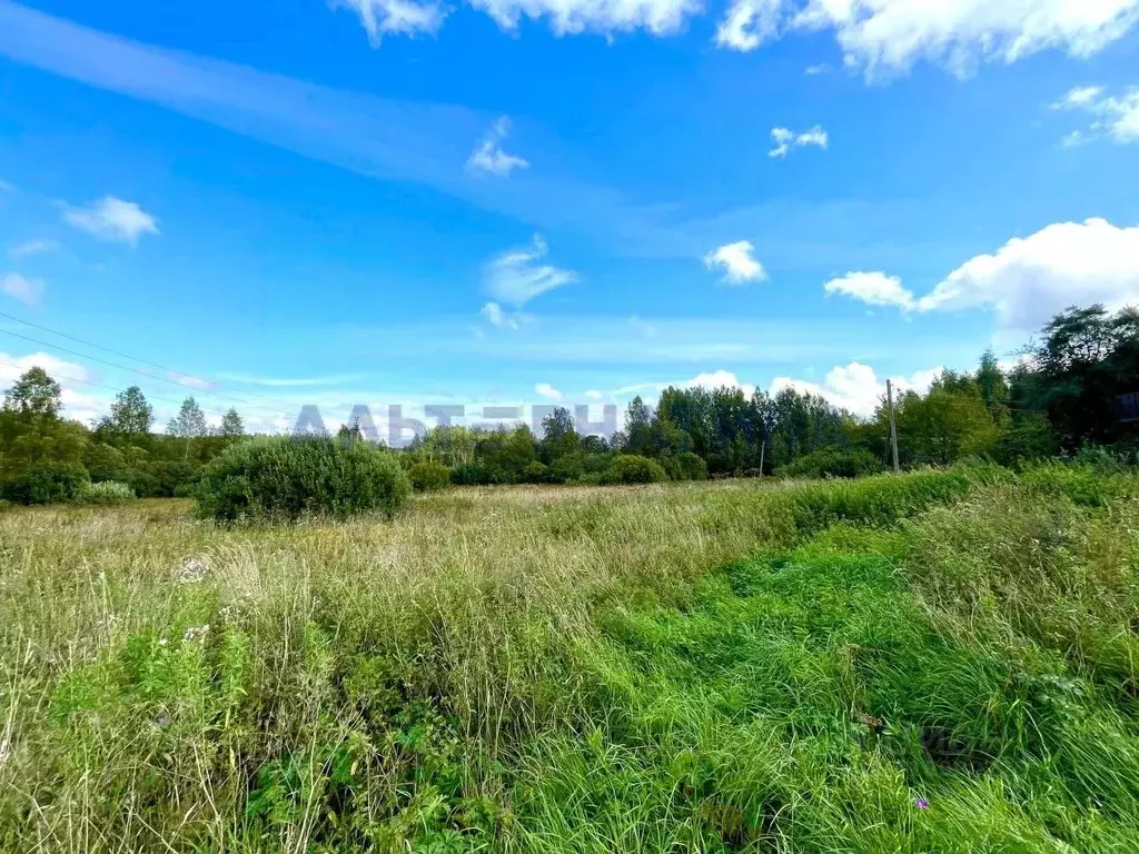 Участок в Ярославская область, Переславль-Залесский муниципальный ... - Фото 2