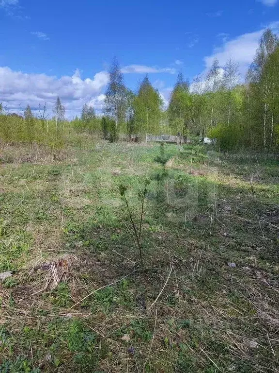 Участок в Калужская область, Калуга городской округ, д. Груздово уч9 ... - Фото 2