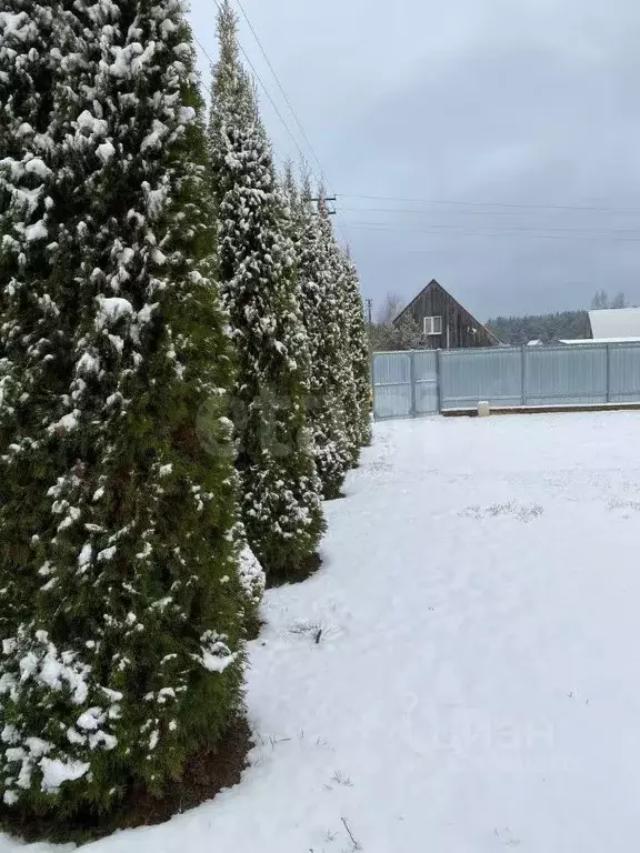 Участок в Псковская область, Псковский район, Тямшанская волость, ... - Фото 2