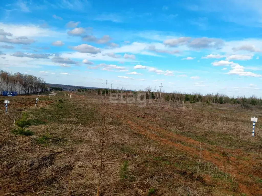 Участок в Нижегородская область, Богородский район, д. Касаниха  (10.0 ... - Фото 0