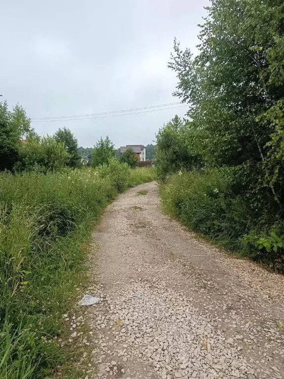 Участок в Московская область, Серпухов городской округ, д. Верхние ... - Фото 2