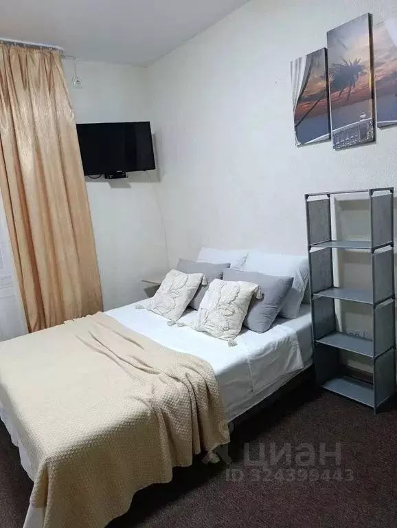 Студия Краснодарский край, Анапа ул. Ивана Голубца, 147 (30.0 м) - Фото 2