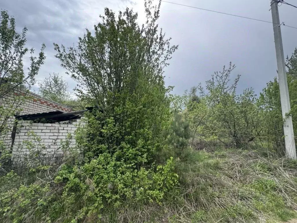 Участок в Нижегородская область, Бор Автомобилист СНТ,  (5.3 сот.) - Фото 1