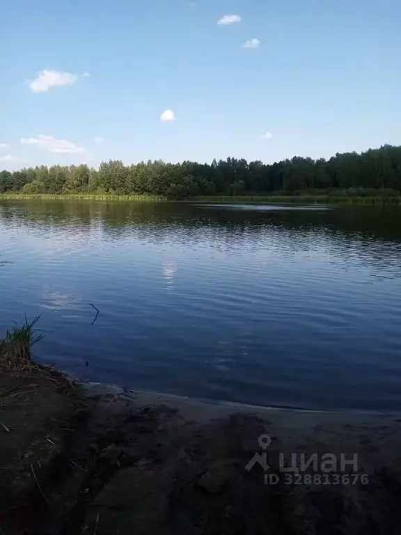Участок в Тверская область, Конаковский муниципальный округ, д. ... - Фото 1