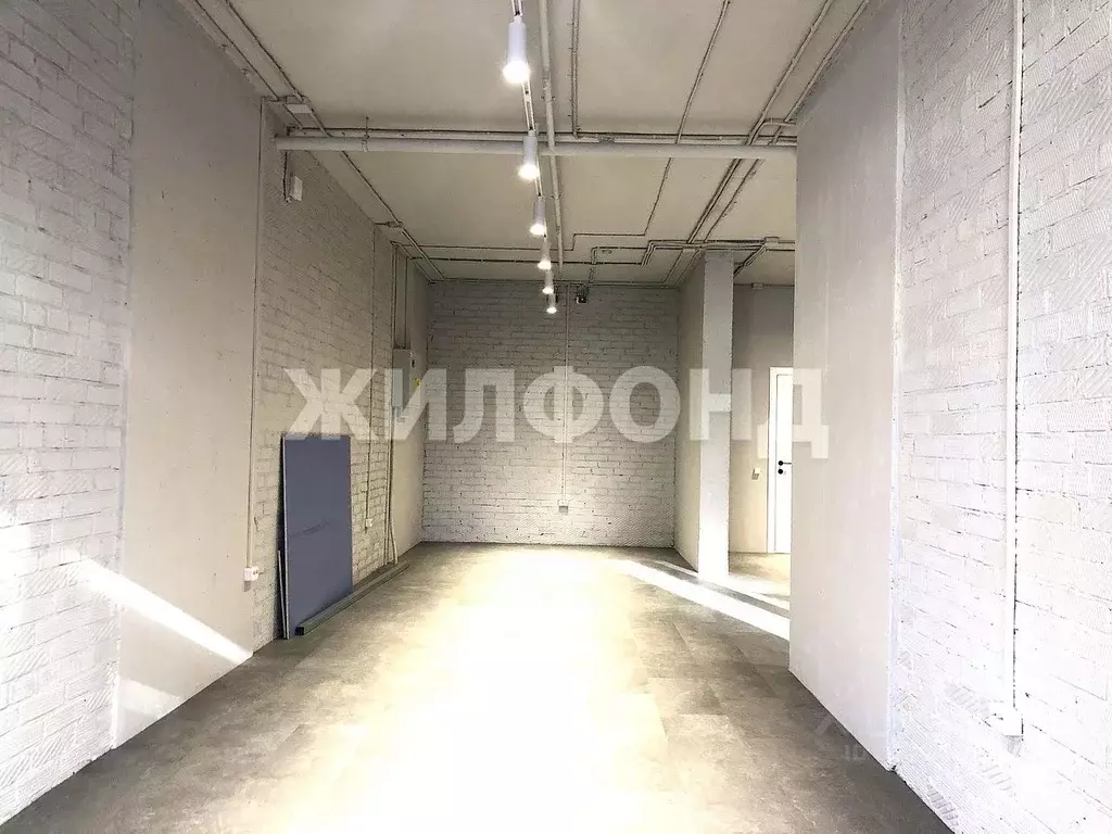 Помещение свободного назначения в Новосибирская область, Новосибирск ... - Фото 2