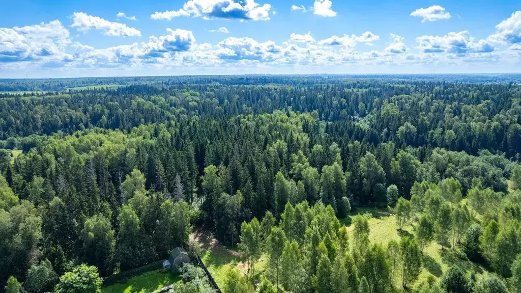 Участок в Московская область, Одинцовский городской округ, д. Супонево ... - Фото 1