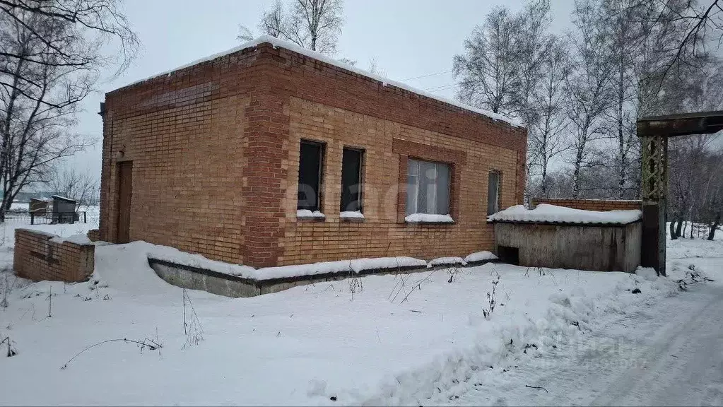 Помещение свободного назначения в Новосибирская область, Ордынский ... - Фото 1