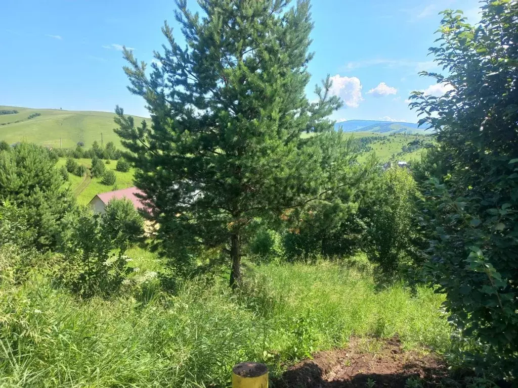 Участок в Алтай, Горно-Алтайск ул. Курская, 7 (7.4 сот.) - Фото 2