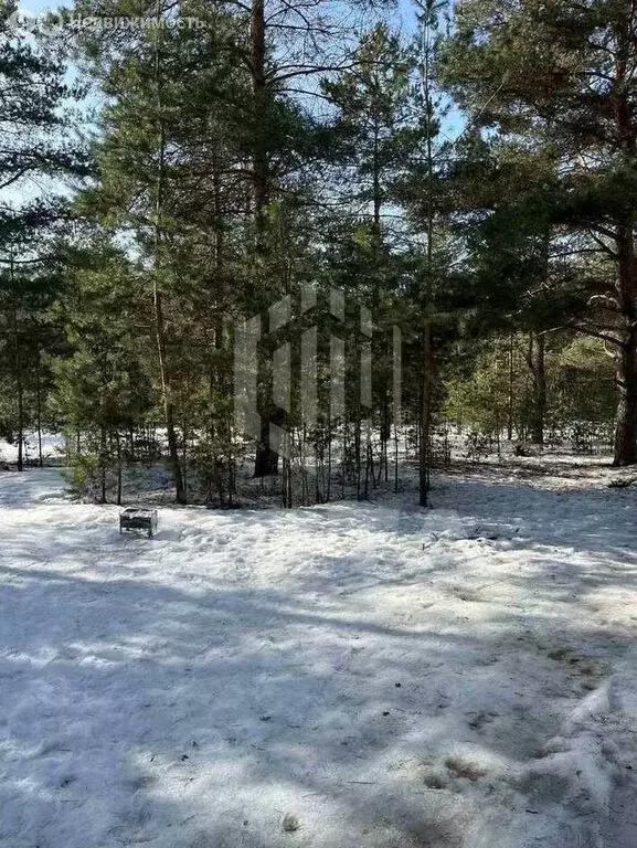 Участок в Воронеж, улица Генерала Шатилова (7.5 м) - Фото 1