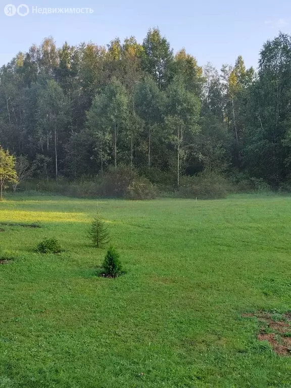 Участок в Слободской, Белохолуницкая улица (3.76 м) - Фото 2