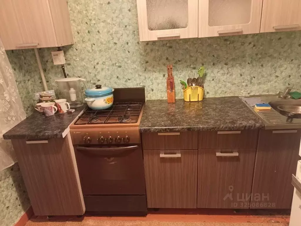 1-к кв. Омская область, Омск пос. Чкаловский, ул. Юбилейная, 5 (31.0 ... - Фото 1