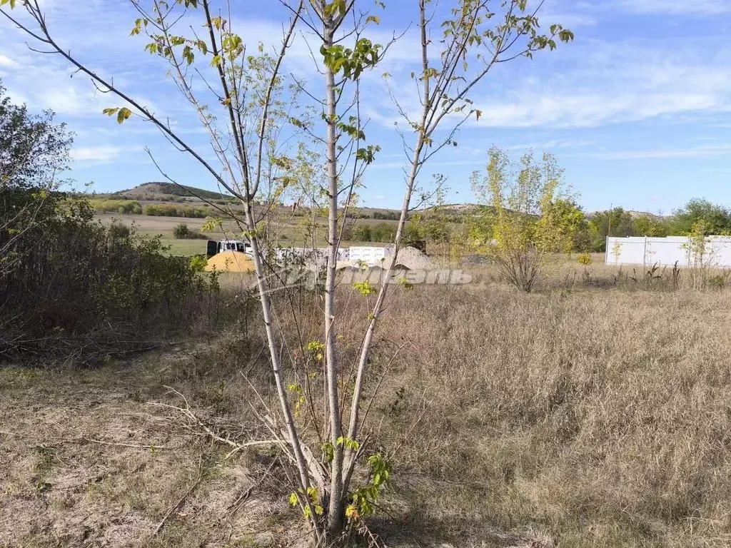 Участок в Крым, Симферопольский район, Перовское с/пос, Дружба садовое ... - Фото 2