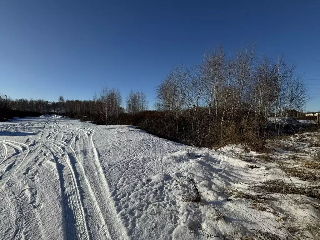 Участок в Омская область, Омск ул. Ивана Улыбина (16.0 сот.) - Фото 2