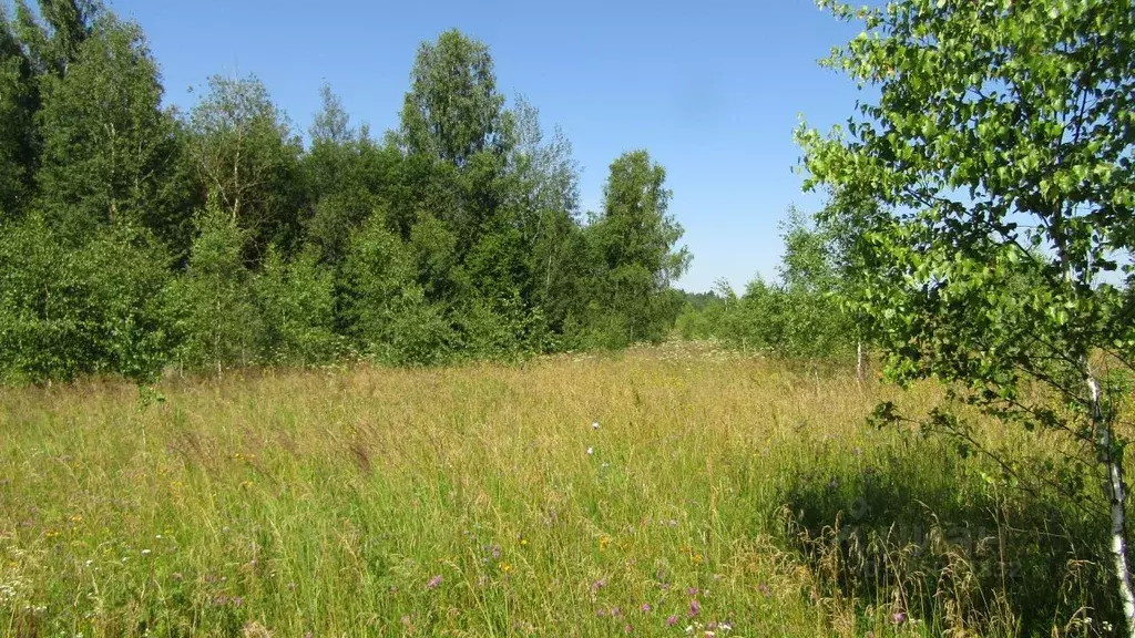 Участок в Московская область, Рузский муниципальный округ, д. ... - Фото 2