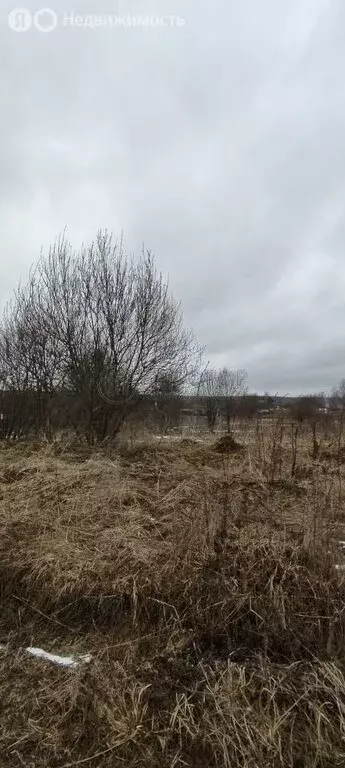 Участок в Московская область, Дмитровский муниципальный округ, КП ... - Фото 0