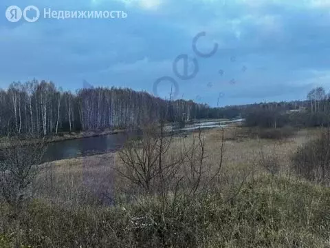 Участок в Нижегородская область, муниципальный округ Сокольский, ... - Фото 1