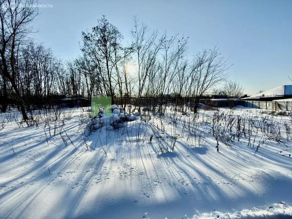 Участок в Белгородская область, Яковлевский муниципальный округ, СНТ ... - Фото 1