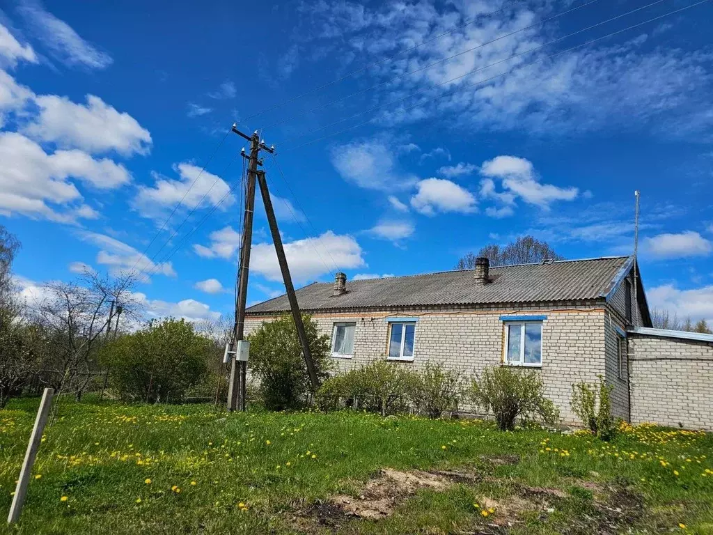3-к кв. Псковская область, Стругокрасненский район, д. Подложье ул. ... - Фото 0