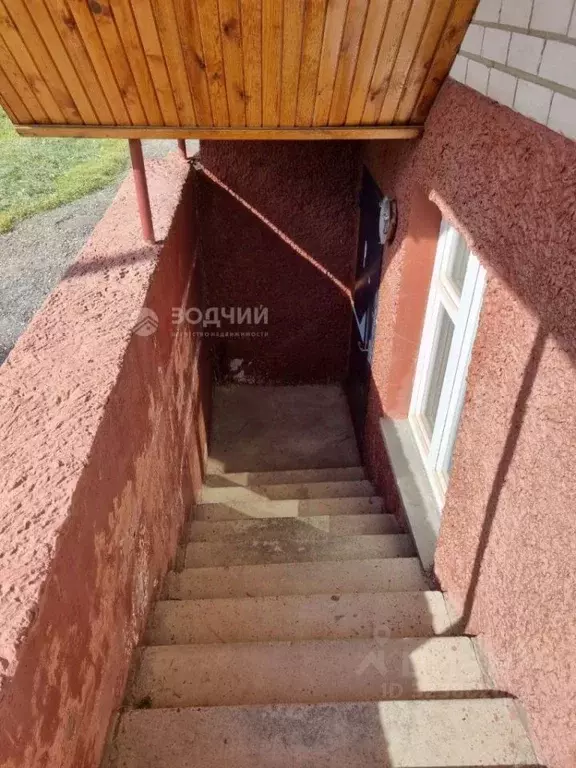 Помещение свободного назначения в Чувашия, Новочебоксарск ул. ... - Фото 2