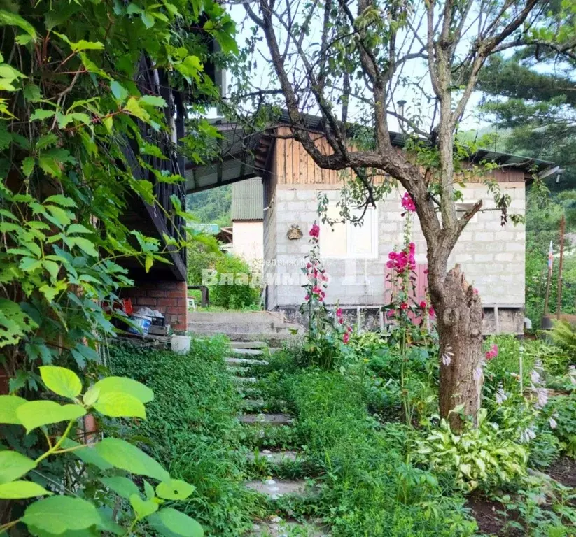 Дом в Приморский край, Находка Строитель СНТ, ул. Ветреная, 8 (30 м) - Фото 0