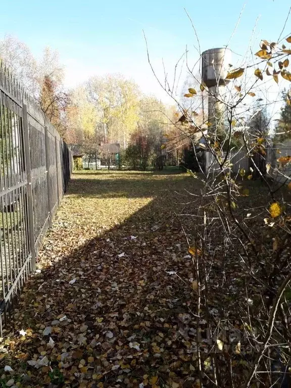 Участок в Новосибирская область, Новосибирск Садовод садовое ... - Фото 1