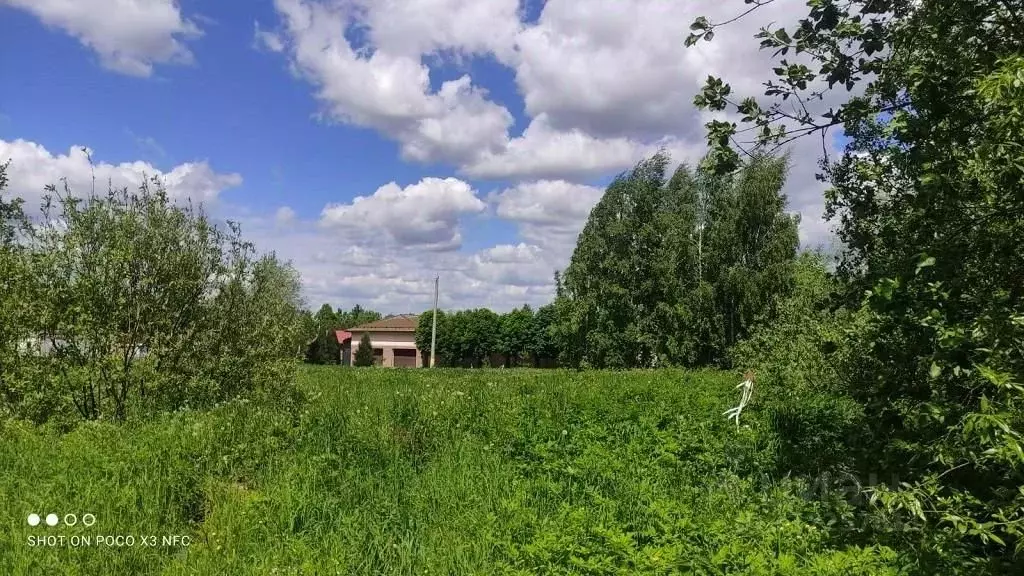 Участок в Московская область, Одинцовский городской округ, д. ... - Фото 1