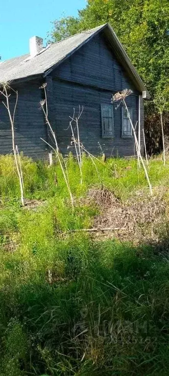 Офис в Вологодская область, Устюженский район, д. Крестцы ул. ... - Фото 1